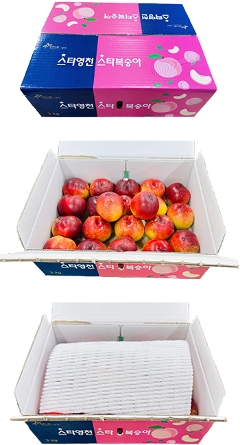 ネクタリン（天桃）2kg×2箱 ※商品代金4000円は送料として表示されます。