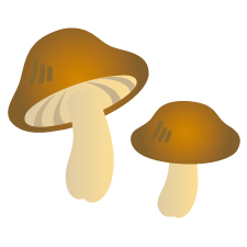ő