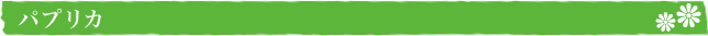 pvJ