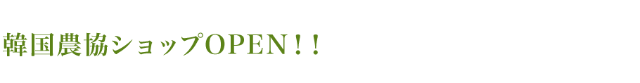 ؍_VbvOPENII